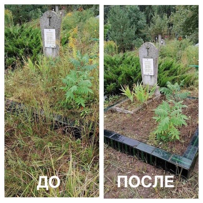 Уборка/Очистка могил г. Ташкент