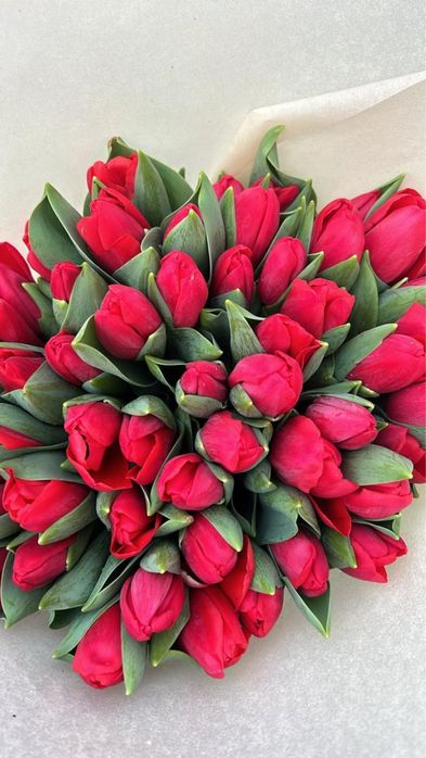 Продам тюльпаны