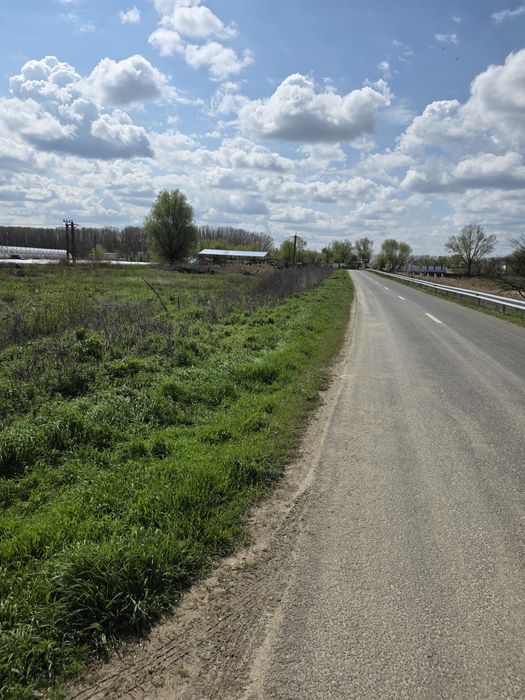 Loturi teren Zătun – deschidere la șosea | lângă Dunăre | poziție premium