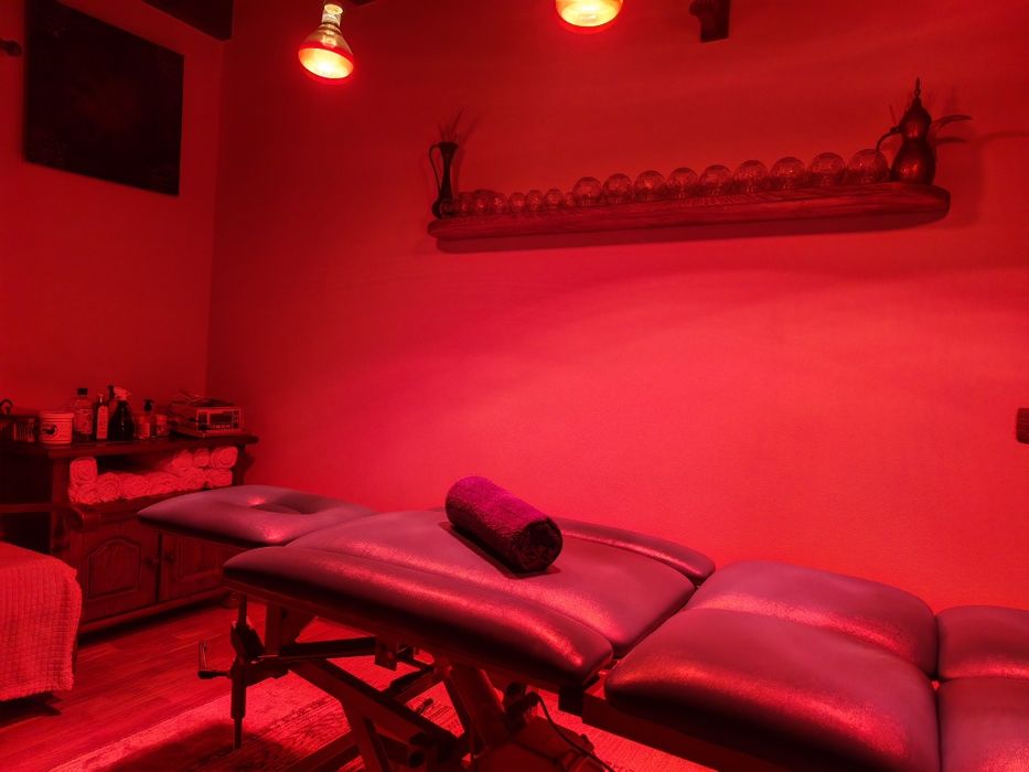 Master Terapeut(Terapie Musculară, Viscerală, Chiropractică)