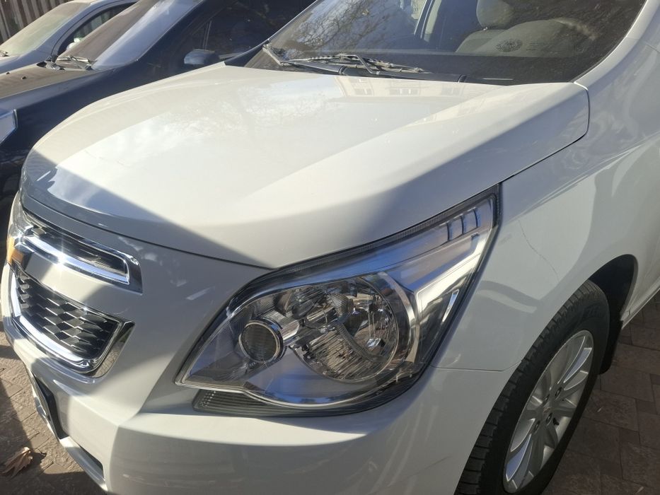 Продам кобилт 2023 викубга бераман