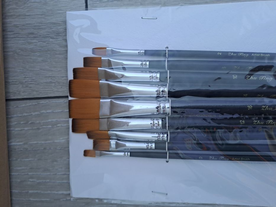 Set pensule pt pictura