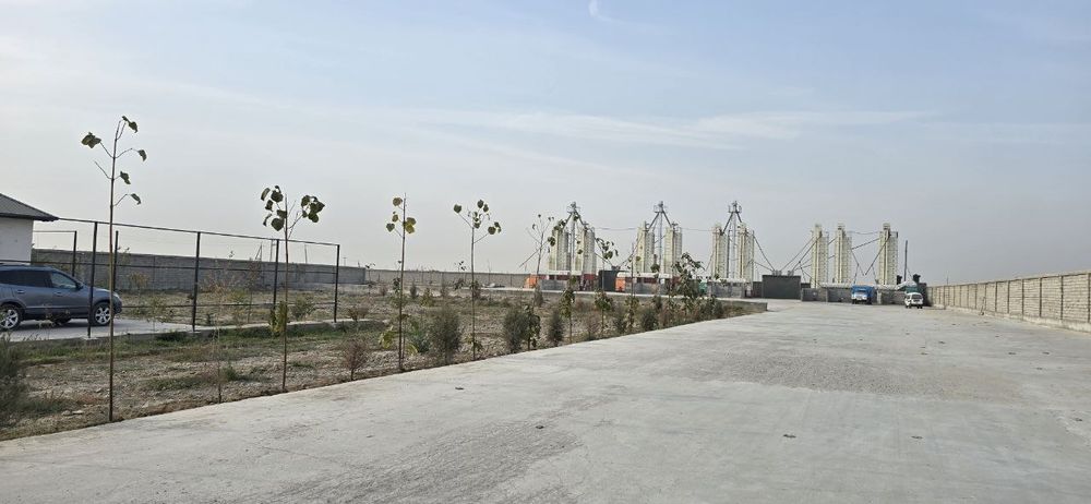 Sirdaryo shahar Sholikorda 2 gektar noturar sotiladi