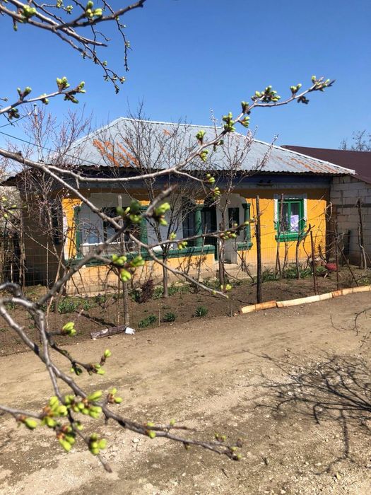 Casa+teren de vanzare