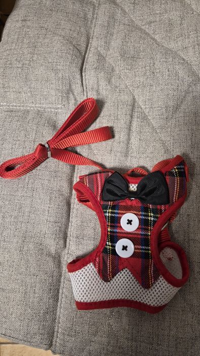 Костюмы шлейка для собачки или кошечки.