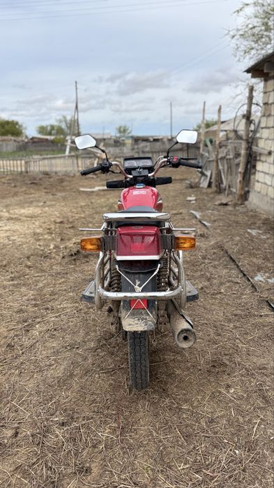 wild city 150 куб