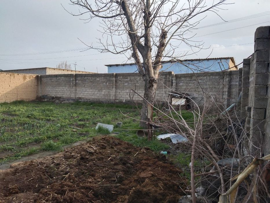 Продажа дача корасув Uzbankinty