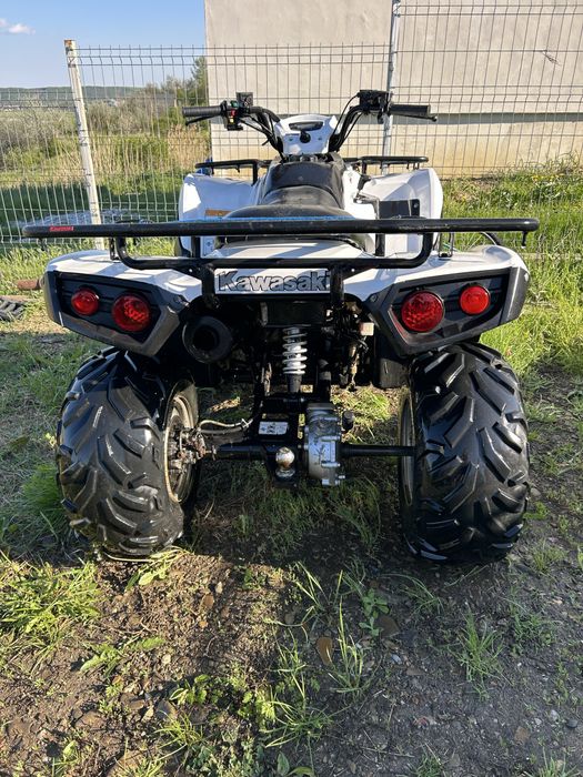 Vand kawasaki brute force