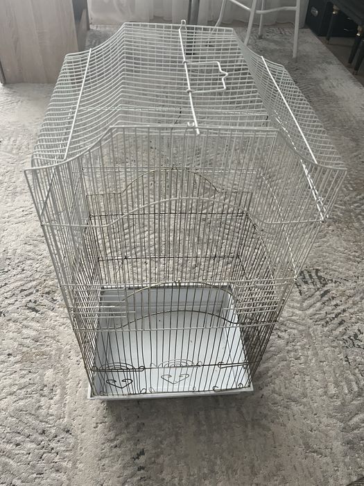 Две клетки по цене одной