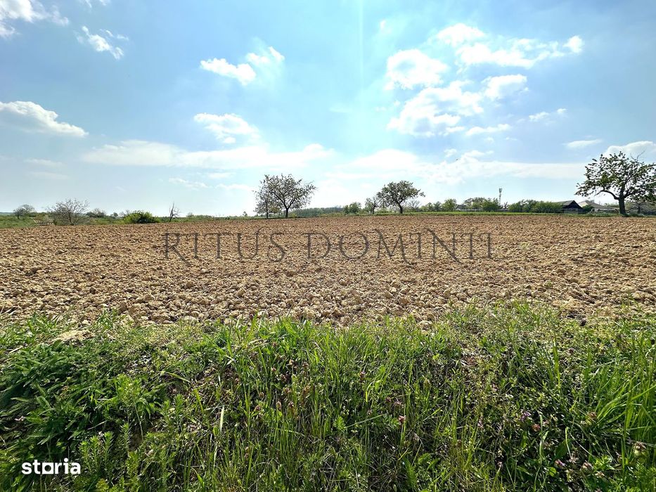 Teren Intravilan de Vânzare, Cetariu, 5450mp