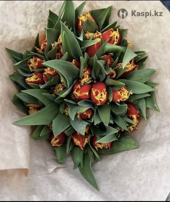 Тюльпаны оптом Алматы !