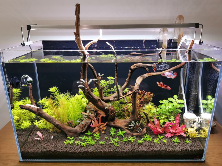 Lampa acvariu Twinstar 60B II