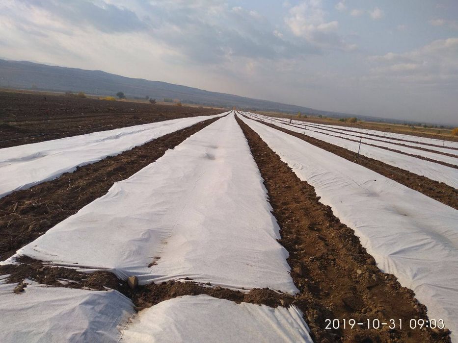 Agrovolokno ulgurji narxda