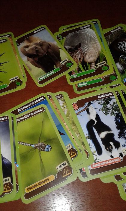 Gradinita de Animale+cadou