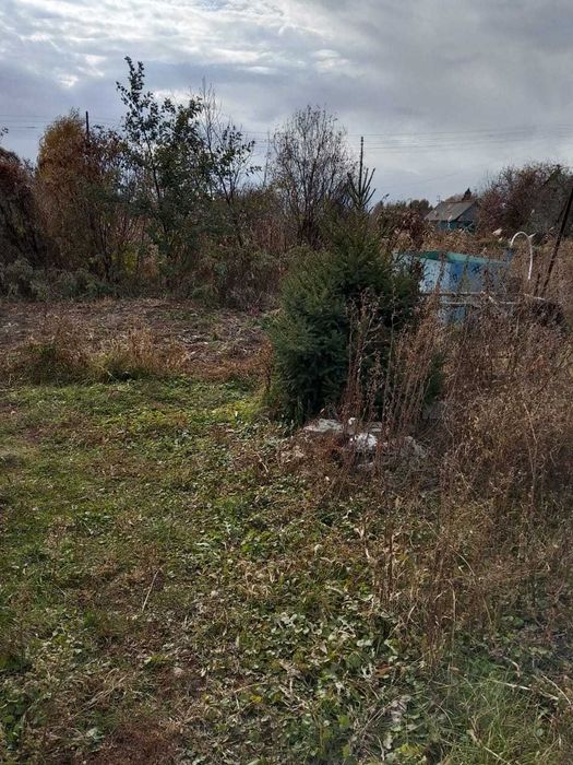 Продается дача недорого