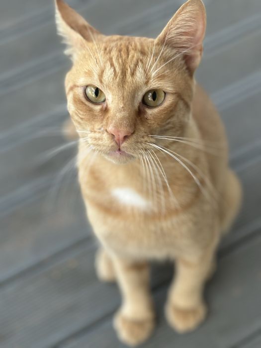 Фотограф любител