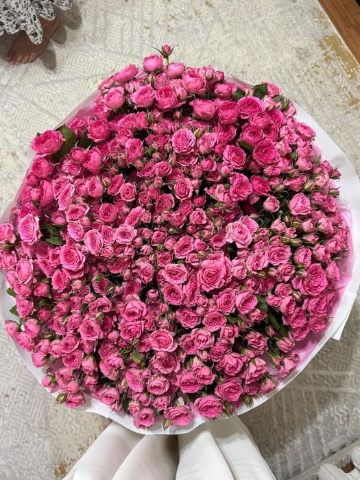 Розовые кустовые розы