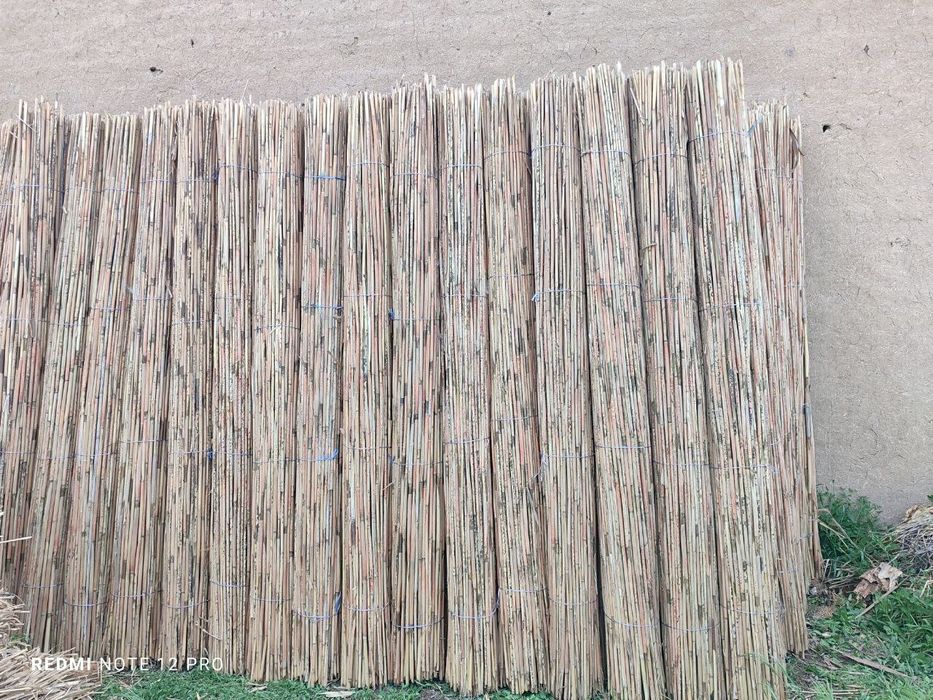 Qamish chiy boyra maxsuloti