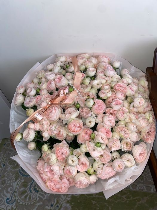 Продам цветок бу свежый