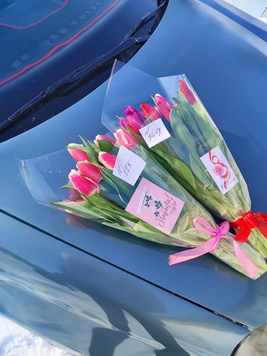 Тюльпаны к 8 марта