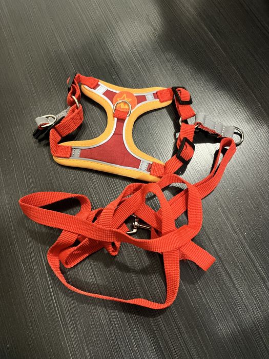 Автоматична кутия за хранене и аксесоари за куче