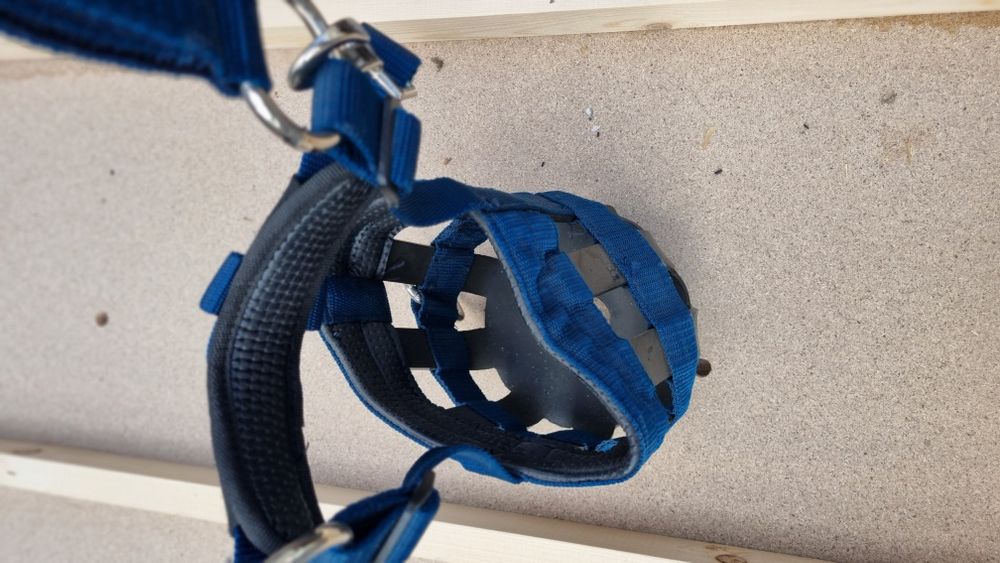 Botniță căluț/mânz, câine, animale