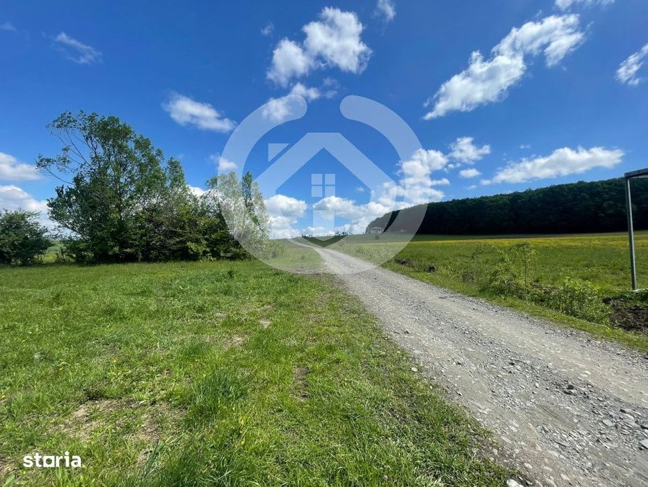 Teren extravilan | 600 mp | Deschidere 15 ml | Tocile, Sibiu