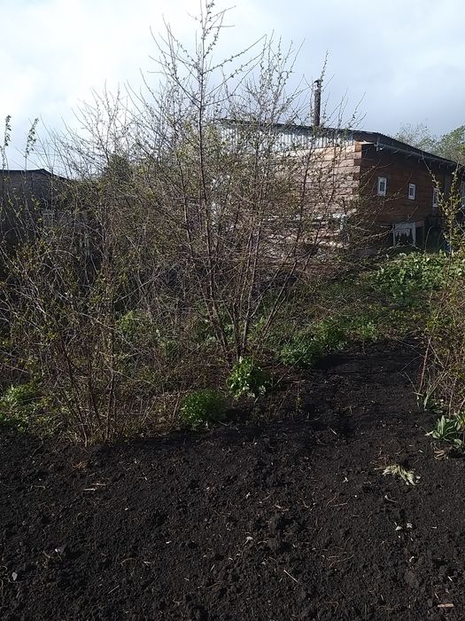 Дача, общество Новинка