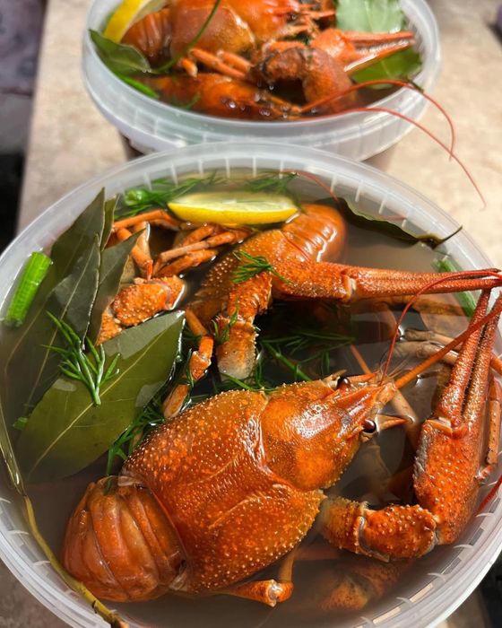 Раки огромных размеров