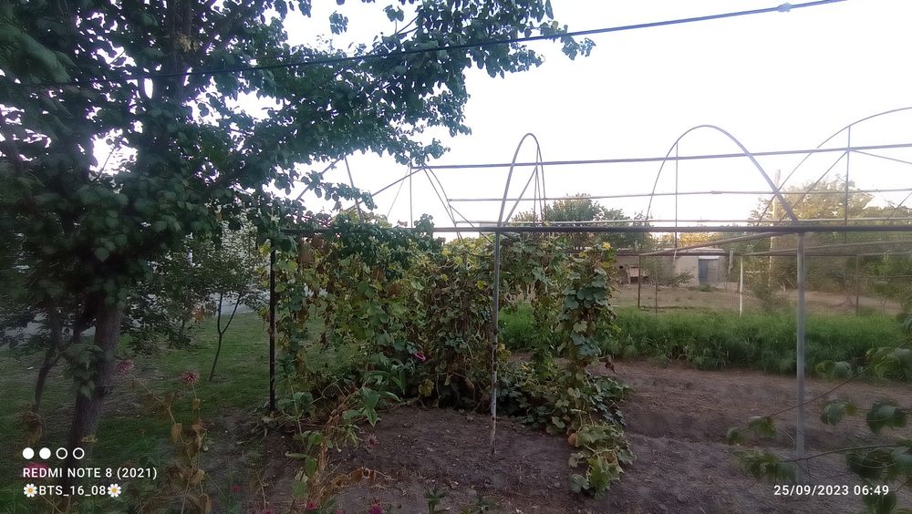 Koʻchmas mulk  xususiy uylar