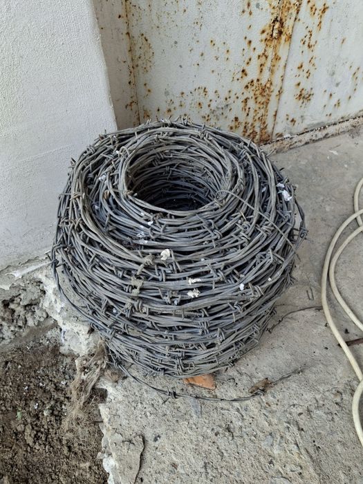 Бодлива тел 100метра