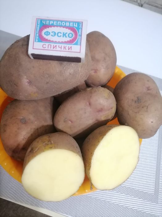Продам картофель дачный