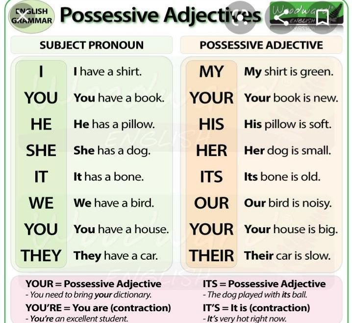 Cursuri de limba engleză