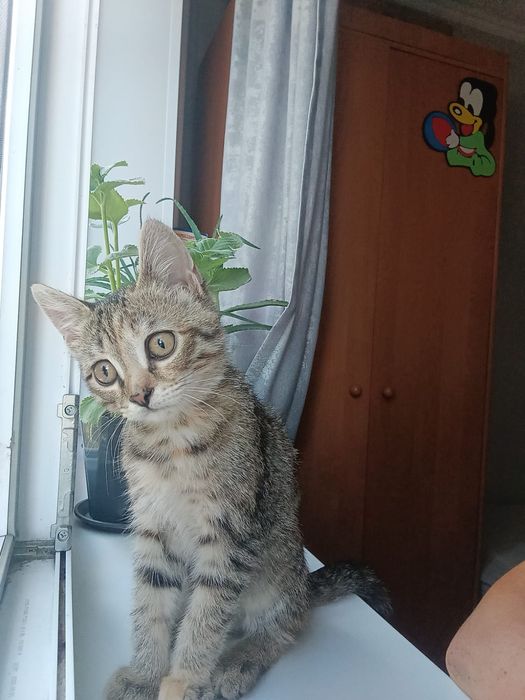 Красатуля Маргоша!