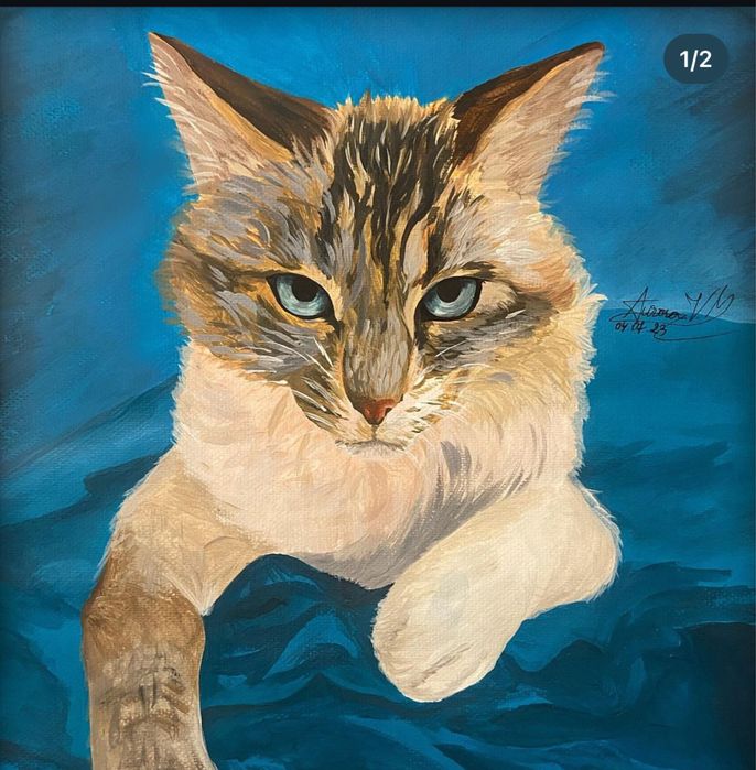 Portete, picturi, desene etc