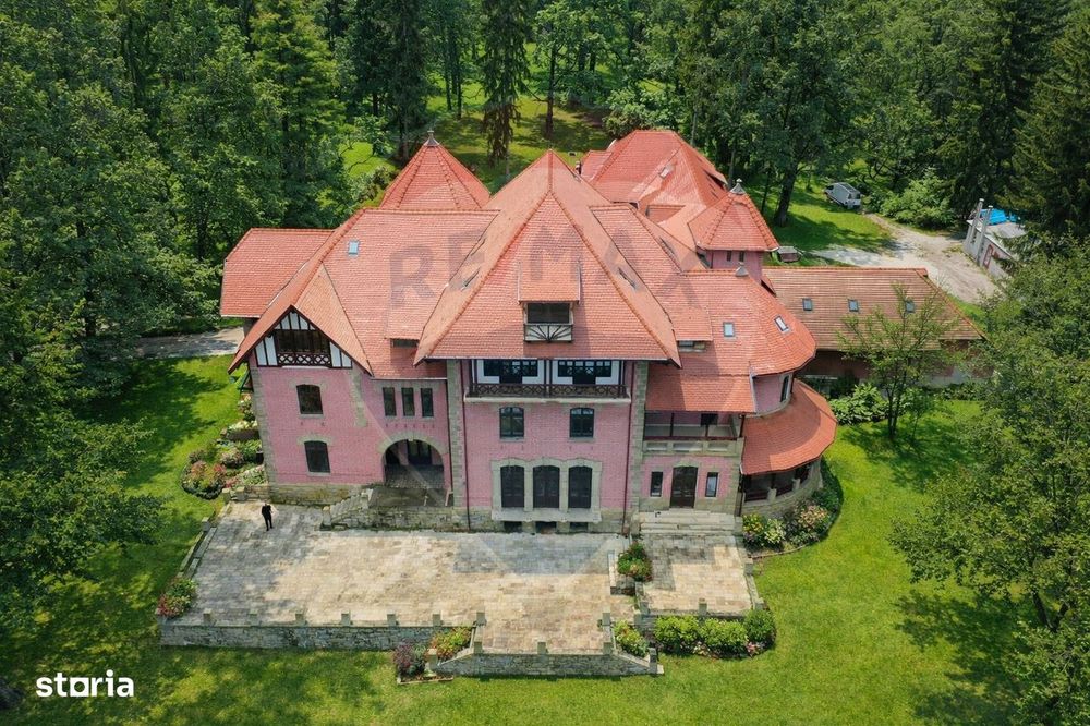 Palatul Stirbei - Darmanesti