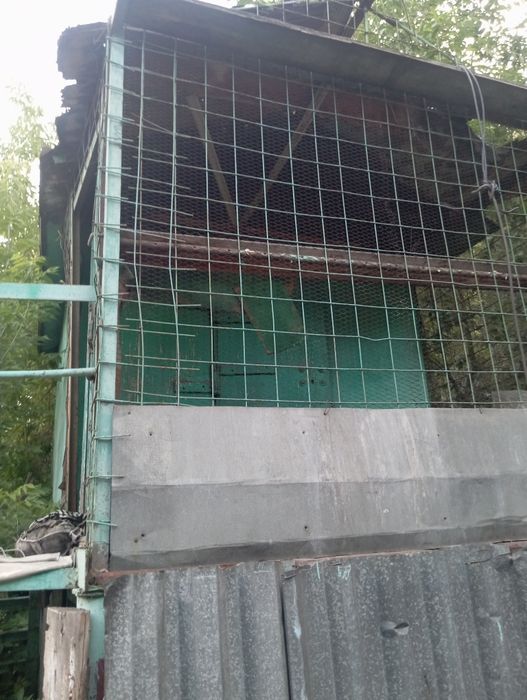 Продам голубятню