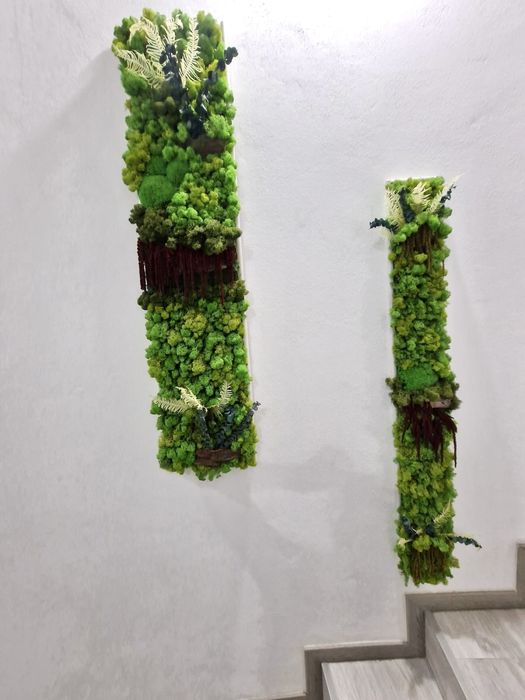 Vand tablori licheni pe comanda