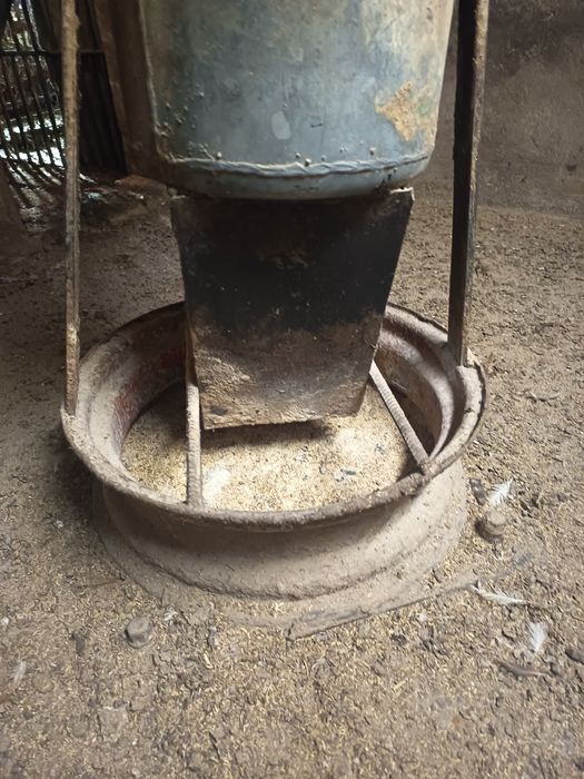 Хранилка за прасета