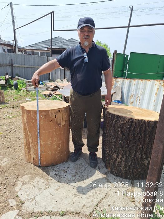 Чурбак  Карагач под рубку мяса.