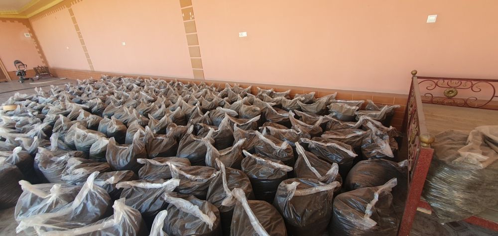 Biogomus. Orginal. Биогомус.