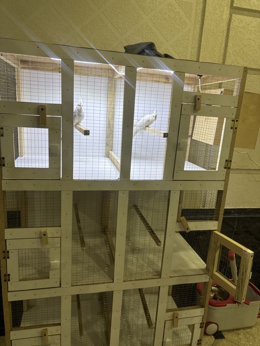 Qafas sotiladi valer