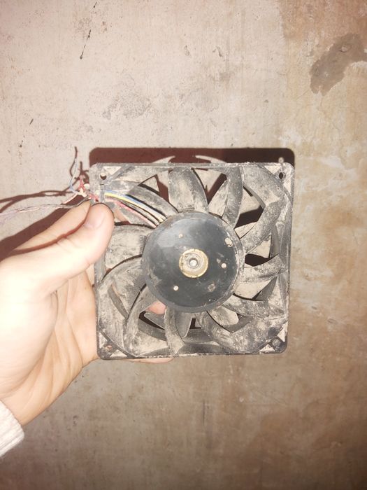 Кулер кулер 3.1ампер