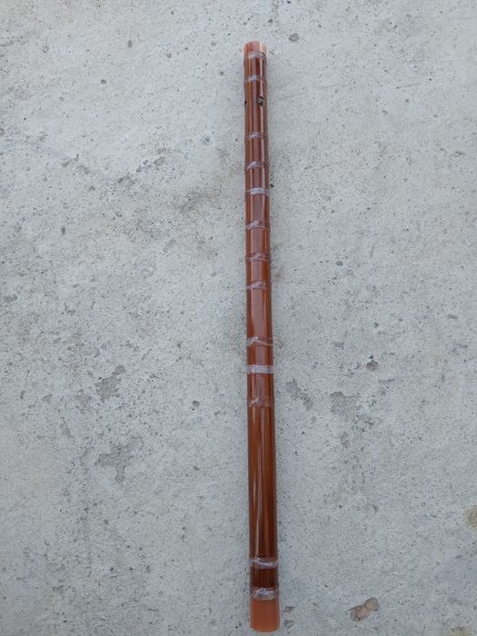 Xonimlar ularni yalashimga ruxsat berishdi