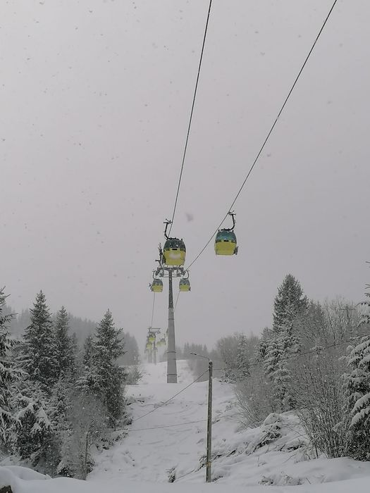 Cabană Telegondolă Borșa