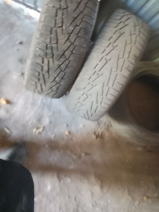 Продам резину зима кордиант