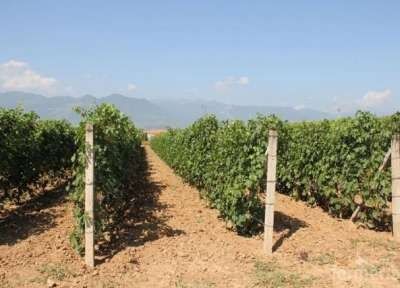 Циментове колове 8 х 9см