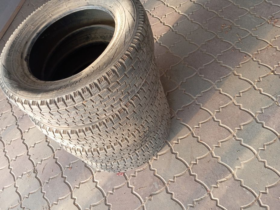 Продам ризина зима