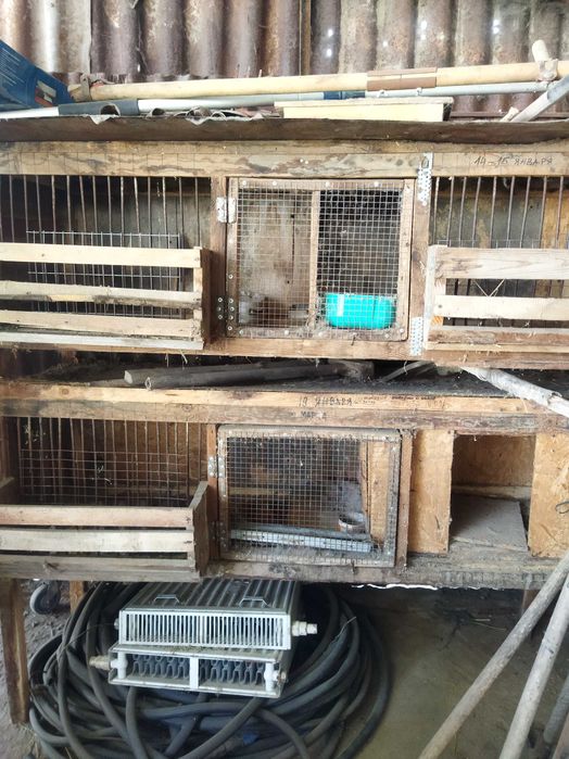 Клетки для кроликов