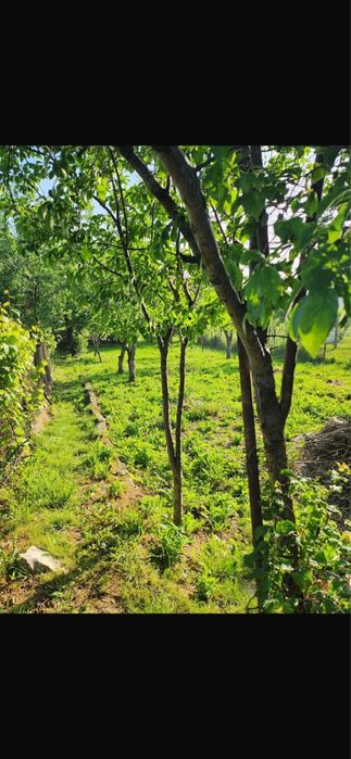 De vânzare casă în Cheriu, str. Principală , 1400mp